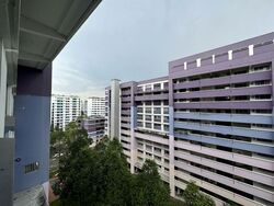 nanyang-emerald photo thumbnail #5